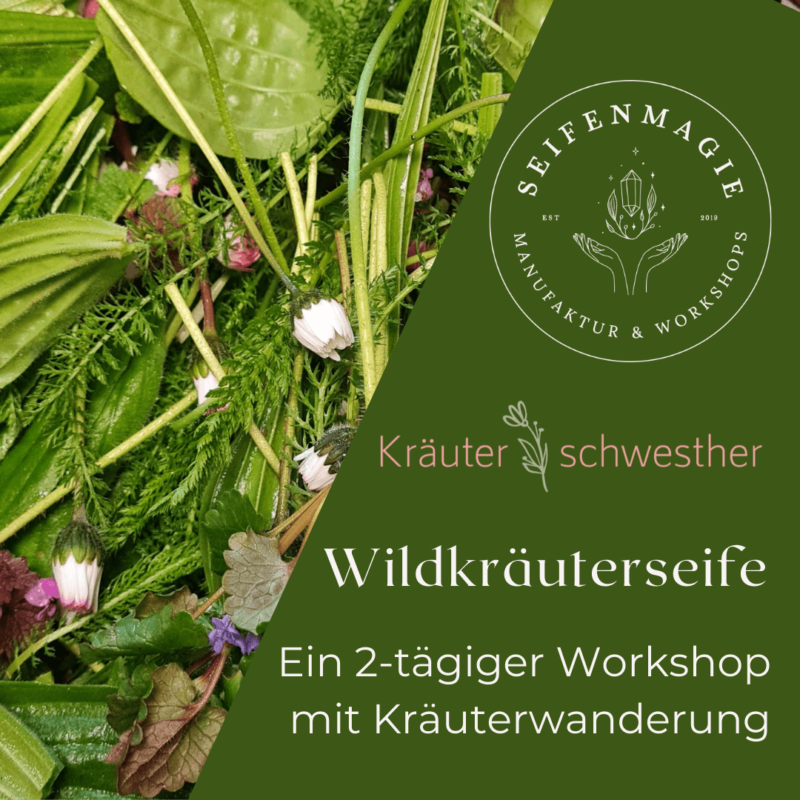 Wildkräuterwanderung und Seifenkurs mit Naturseife in Pfinztal bei Karlsruhe
