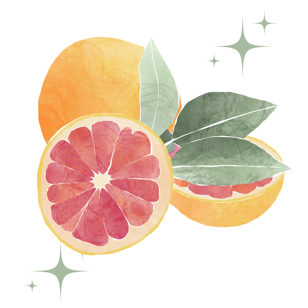 Illustration mit Grapefruithälften, Minzblättern, Zitronenblüten und Sommerblumen im Cottagecore-Stil