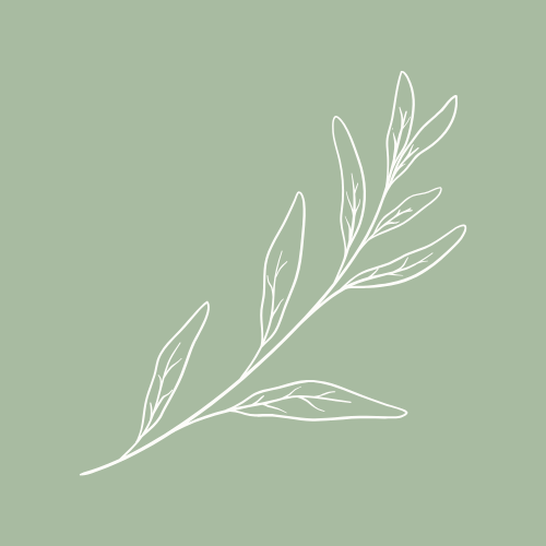 Blog & Rezepte