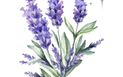 Duft des Monats Juni – „Gartenabend“ mit Palmarosa, Litsea & Lavendel