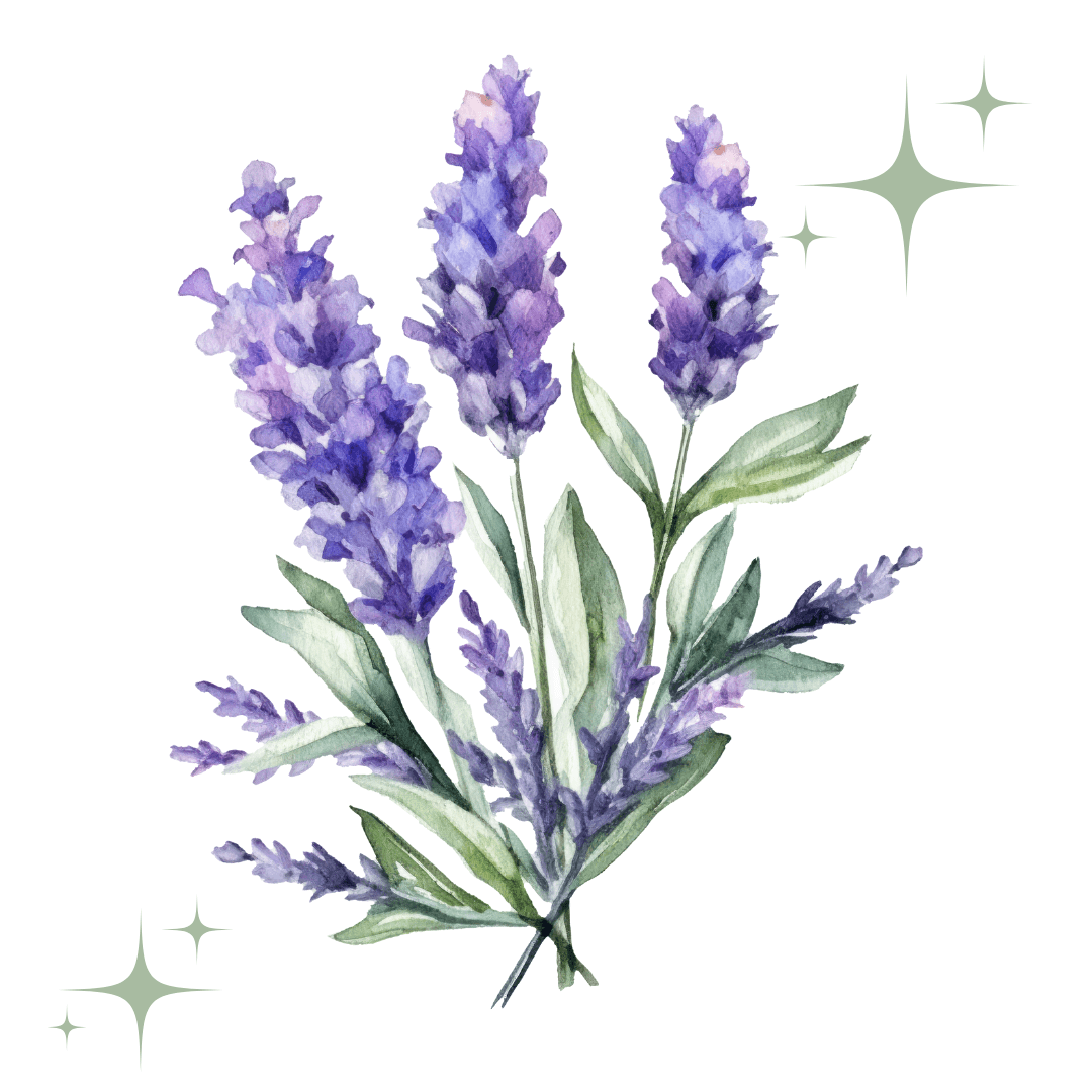 Lavendel Illustration Duft des Monats Juni – Gartenabend mit Palmarosa, Litsea und Lavendel