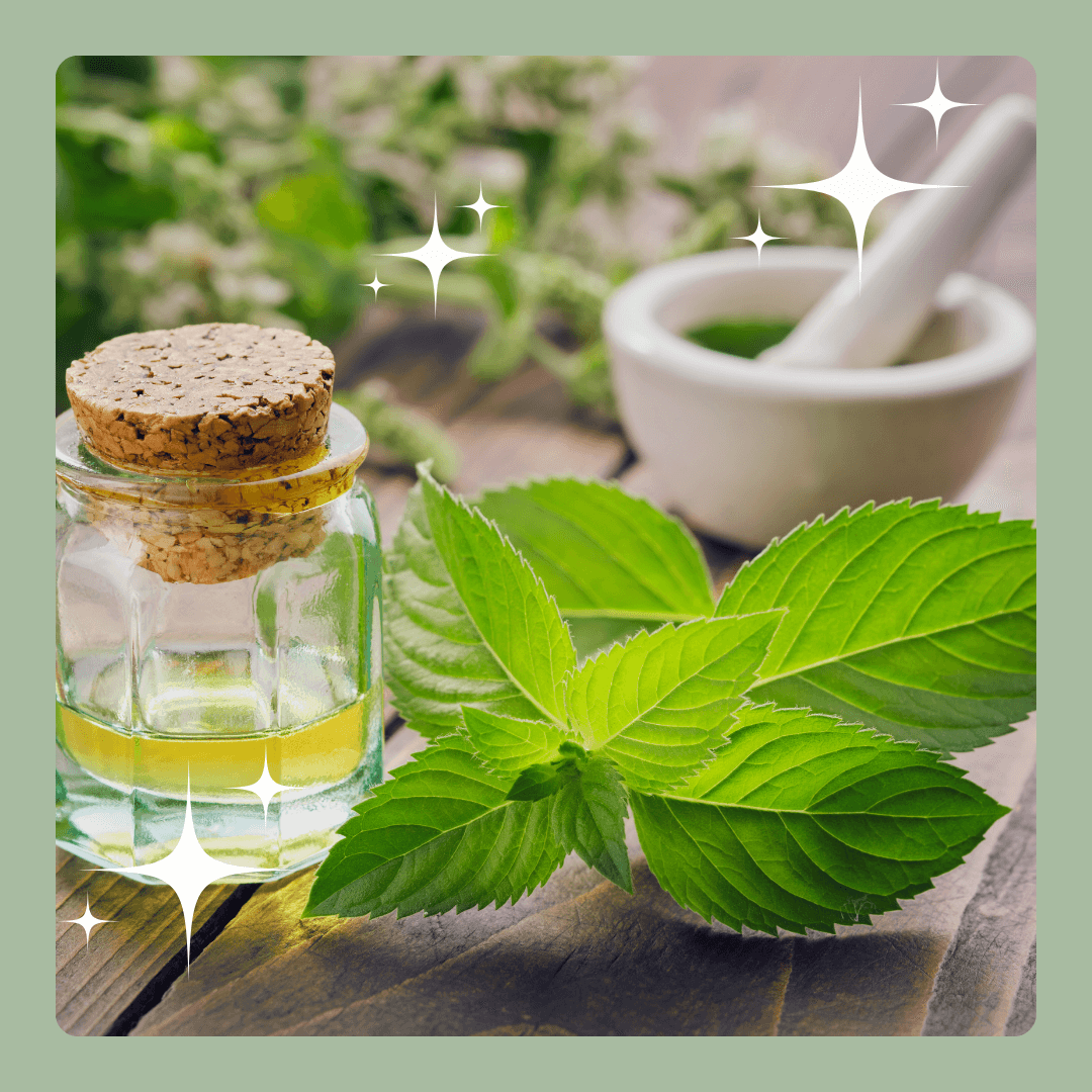 Duft des Monats Juli: Waldminze – erfrischend, klar, waldig Waldminze Duftmischung: Spearmint, Pfefferminze und Fichtennadel für erfrischende Sommerseife
