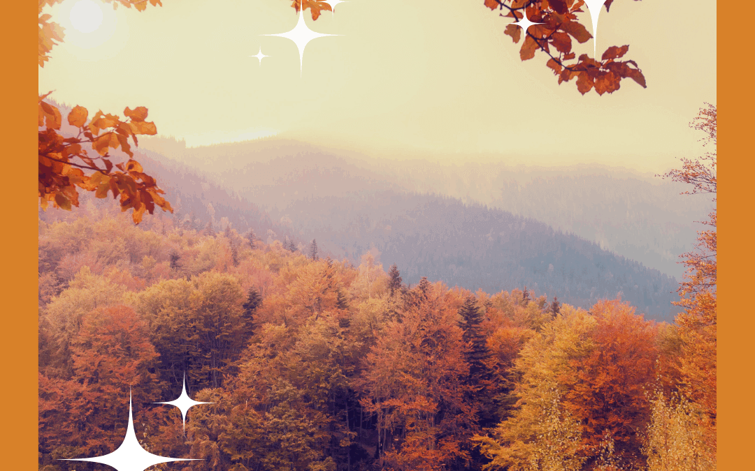 Duft des Monats September: Herbstgold mit Cassia, Orange & Litsea