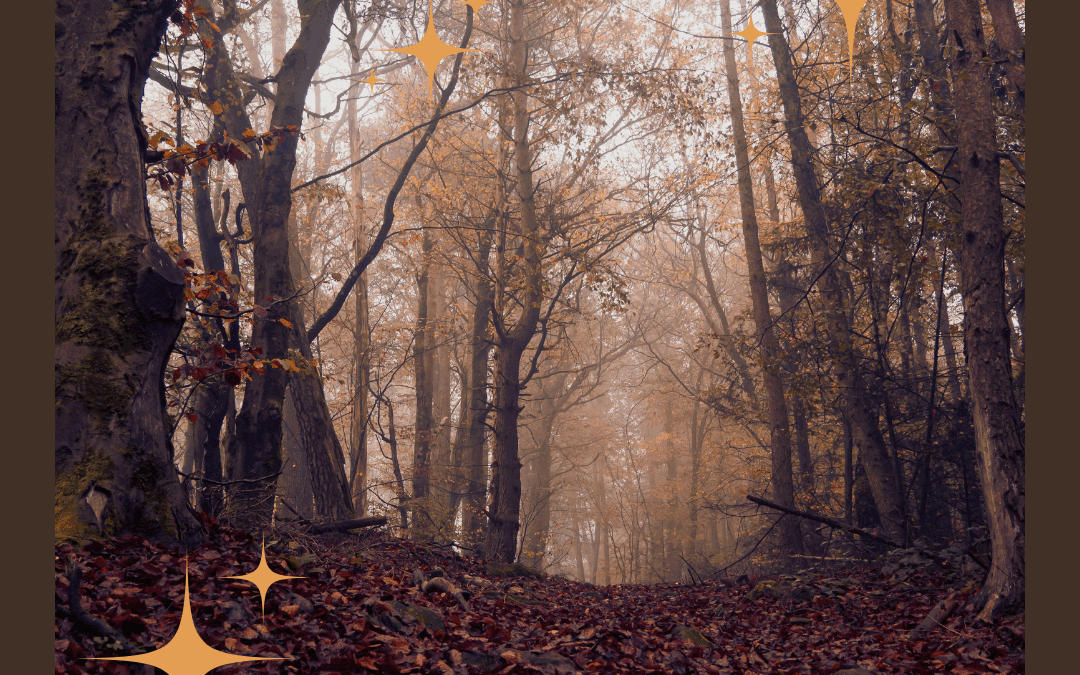 🍂 Duft des Monats November: Nebelpfade