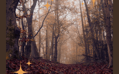 🍂 Duft des Monats November: Nebelpfade