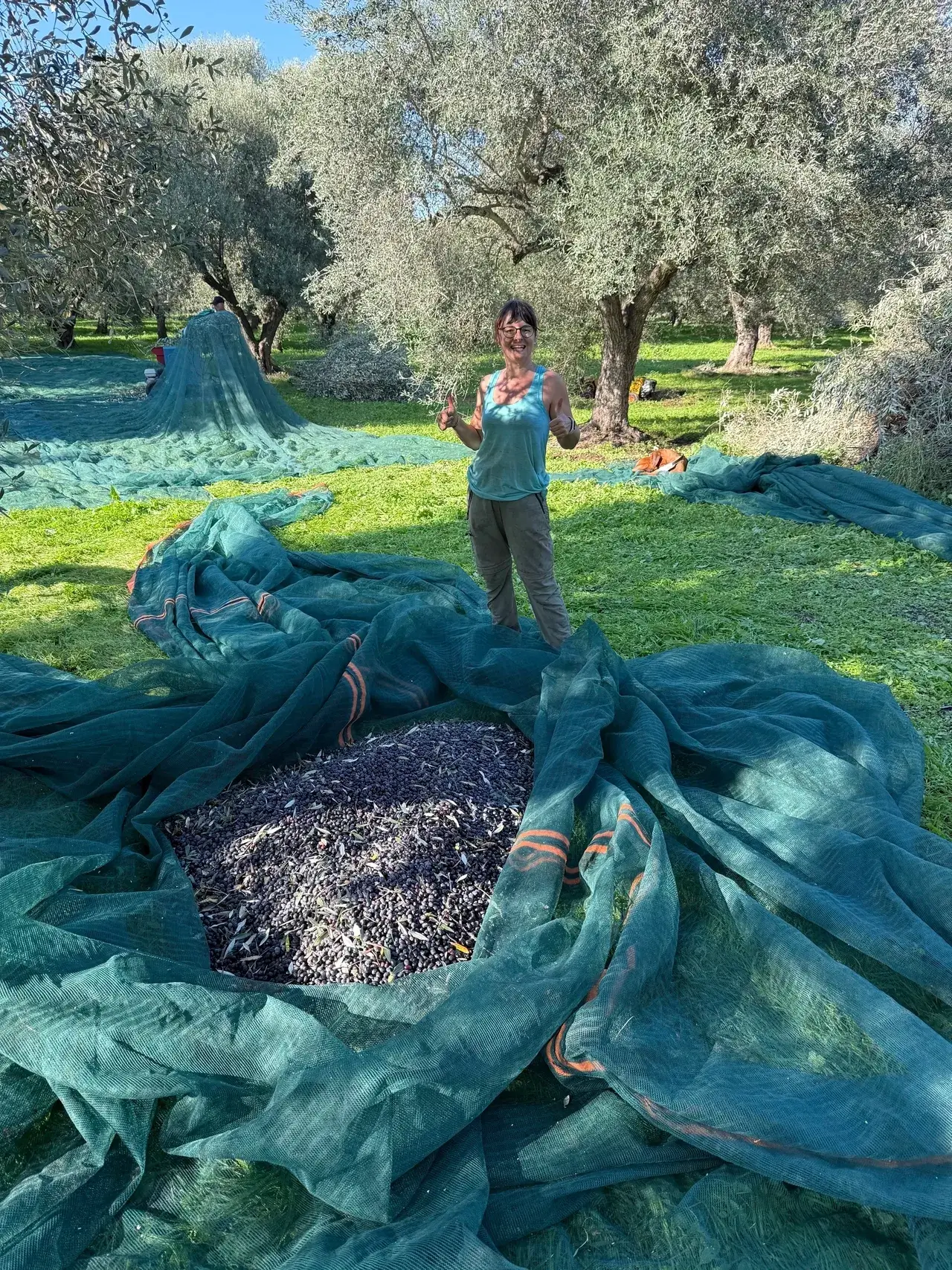 Specialkurs: Olivenöl – feine Olivenölseife & Verkostung mit „Karlsruher“ Olivenöl von KT9 Specialkurs: Olivenöl – feine Olivenölseife & Verkostung mit „Karlsruher“ Olivenöl von KT9 – Bild 2